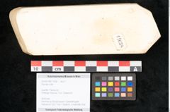 Foto (Objekt + Etikett) von Plantae indet.  (NHMW-GEO-2024-0188-11638)